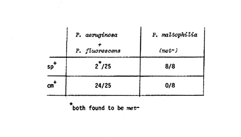 35 aeruginosa fluorescens maltophilia